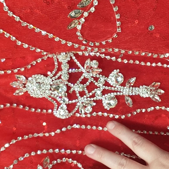 Beautiful Fancy Dress - Picture 9 of 9